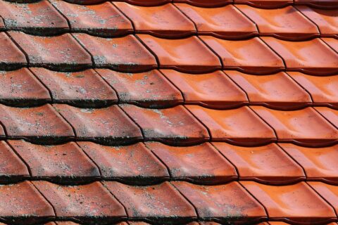 Comprehensive Roof Cleaning & Coating Services in Buckinghamshire