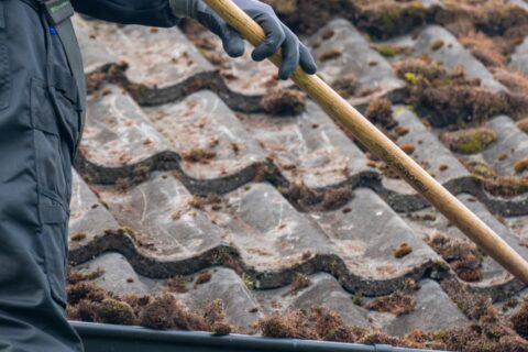 Buckinghamshire Roof Moss Removal Experts