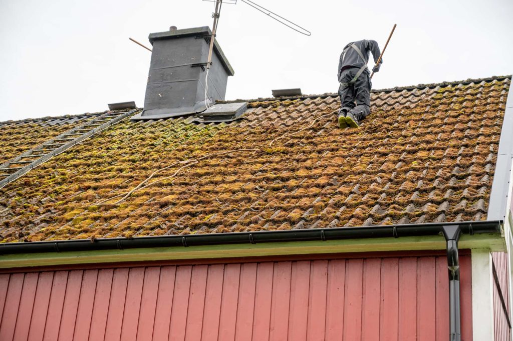 Roof moss removal services Buckinghamshire