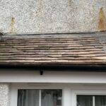 Commercial Roof Leaking